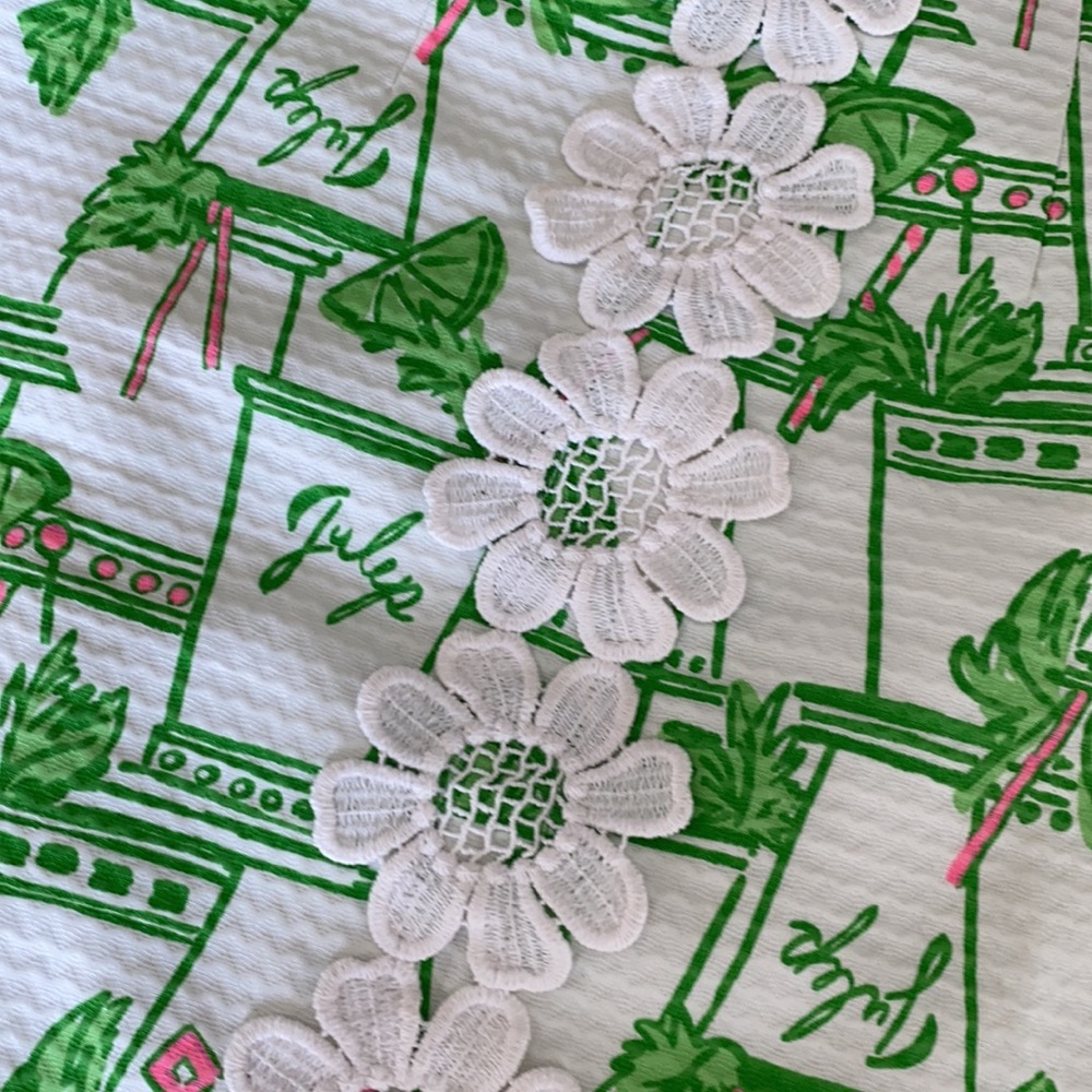 Lilly Pulitzer Mint Julep skirt.